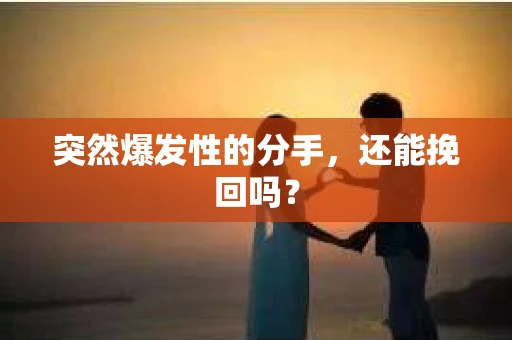 突然爆发性的分手,还能挽回吗? 突然爆发性的分手,还能挽回吗?