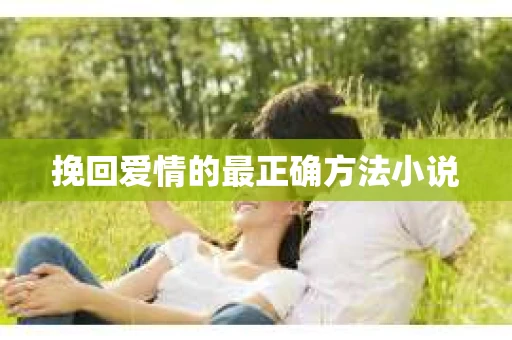 挽回爱情的最正确方法小说