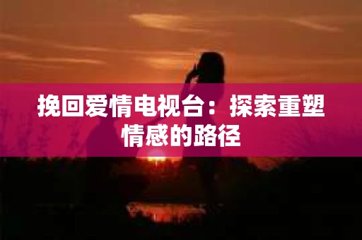 挽回爱情电视台：探索重塑情感的路径