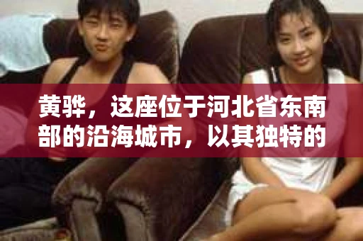 黄骅，这座位于河北省东南部的沿海城市，以其独特的地理位置和丰富的历史文化而闻名。然而，在这座城市中，还有一群人，他们以另一种方式默默守护着社会的公平与正义——私家侦探。今天，我们就来聊聊黄骅的私家侦探，看看他们是如何在这个城市中发挥作用的。