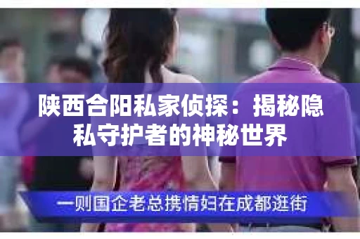陕西合阳私家侦探：揭秘隐私守护者的神秘世界