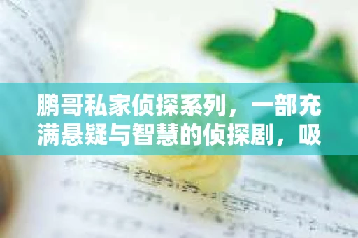 鹏哥私家侦探系列，一部充满悬疑与智慧的侦探剧，吸引了无数观众的眼球。今天，就让我带你走进这个充满神秘色彩的侦探世界，一起在线观看鹏哥私家侦探系列，感受那扣人心弦的故事情节。