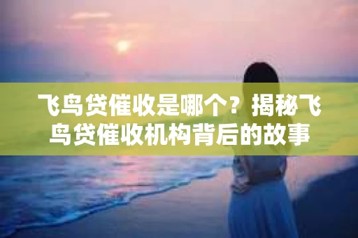 飞鸟贷催收是哪个？揭秘飞鸟贷催收机构背后的故事