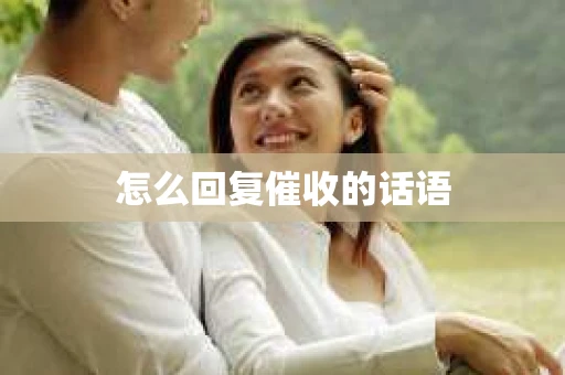 怎么回复催收的话语