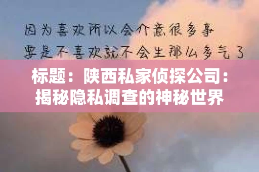 标题：陕西私家侦探公司：揭秘隐私调查的神秘世界
