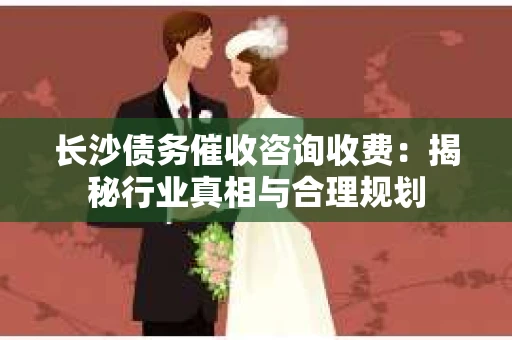 长沙债务催收咨询收费：揭秘行业真相与合理规划