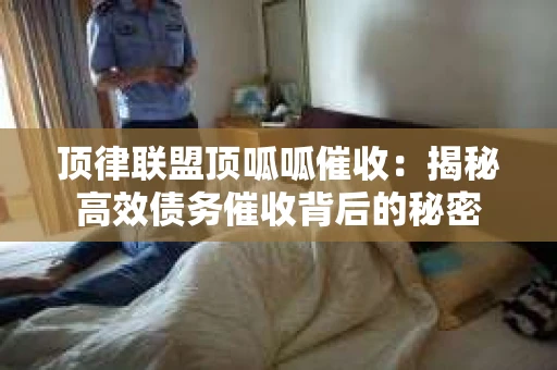 顶律联盟顶呱呱催收：揭秘高效债务催收背后的秘密