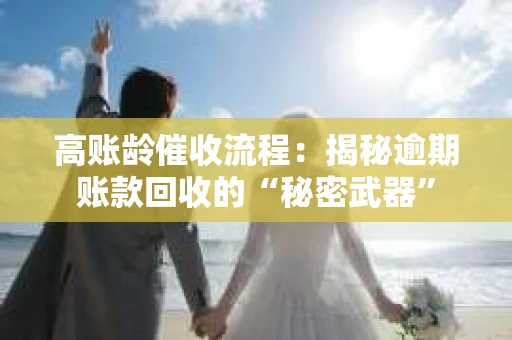 高账龄催收流程：揭秘逾期账款回收的“秘密武器”