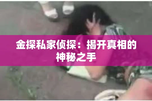 金探私家侦探：揭开真相的神秘之手