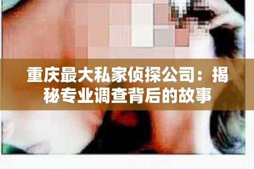 重庆最大私家侦探公司：揭秘专业调查背后的故事