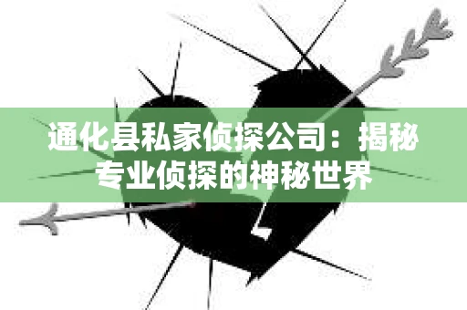 通化县私家侦探公司：揭秘专业侦探的神秘世界