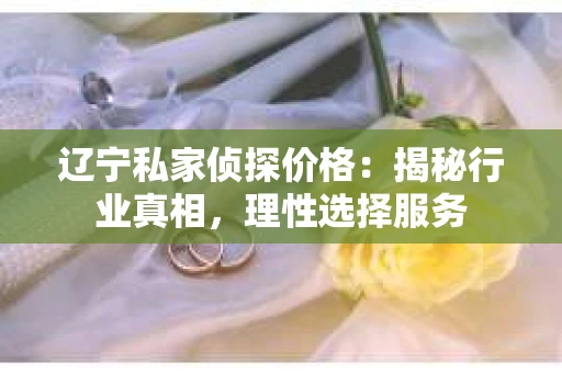 辽宁私家侦探价格：揭秘行业真相，理性选择服务