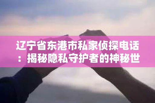 辽宁省东港市私家侦探电话：揭秘隐私守护者的神秘世界