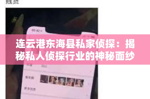 连云港东海县私家侦探：揭秘私人侦探行业的神秘面纱
