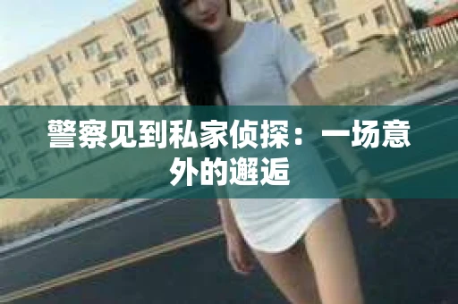 警察见到私家侦探：一场意外的邂逅