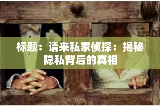 标题：请来私家侦探：揭秘隐私背后的真相