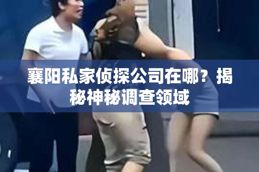 襄阳私家侦探公司在哪？揭秘神秘调查领域