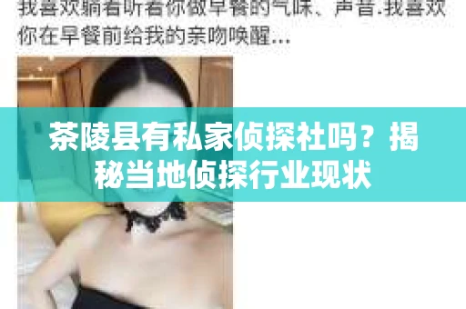 茶陵县有私家侦探社吗？揭秘当地侦探行业现状