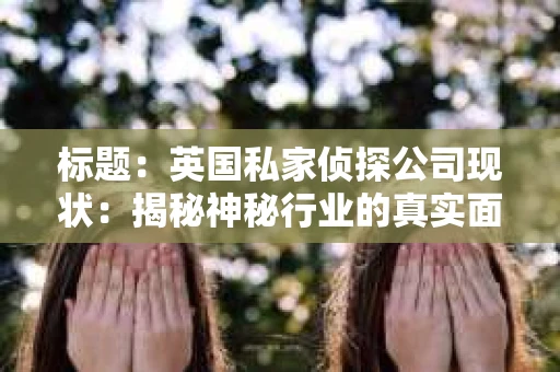 标题：英国私家侦探公司现状：揭秘神秘行业的真实面貌