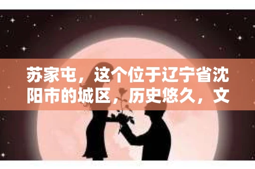 苏家屯，这个位于辽宁省沈阳市的城区，历史悠久，文化底蕴深厚。近年来，随着社会的发展，人们对于私家侦探的需求也逐渐增加。那么，苏家屯有私家侦探吗？今天，我们就来聊聊这个话题。