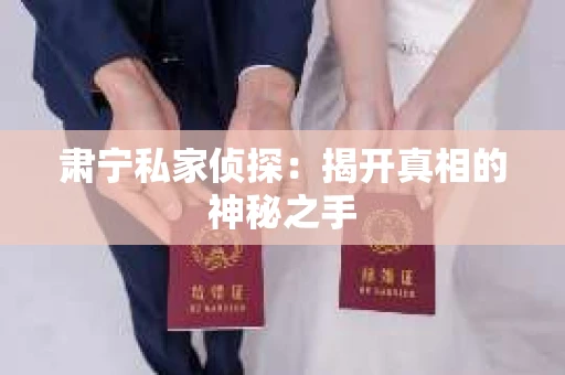 肃宁私家侦探：揭开真相的神秘之手