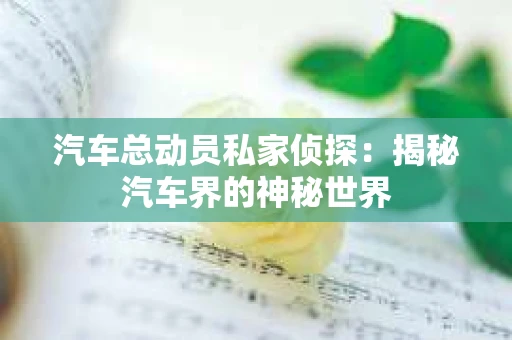 汽车总动员私家侦探：揭秘汽车界的神秘世界