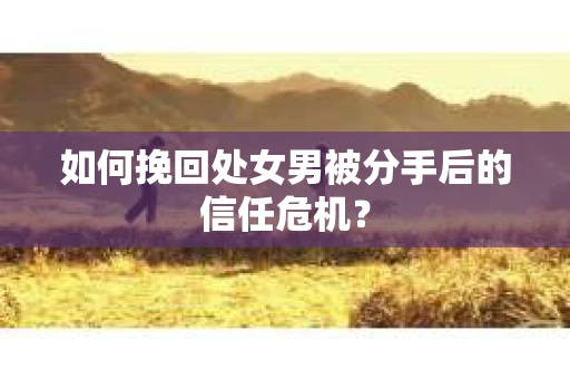 如何挽回处女男被分手后的信任危机？
