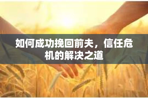 如何成功挽回前夫，信任危机的解决之道