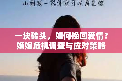 一块砖头，如何挽回爱情？婚姻危机调查与应对策略