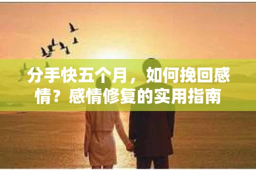 分手快五个月，如何挽回感情？感情修复的实用指南