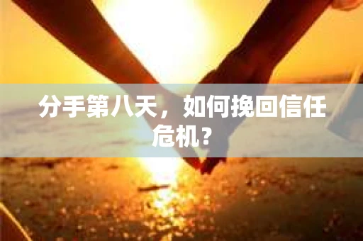 分手第八天，如何挽回信任危机？