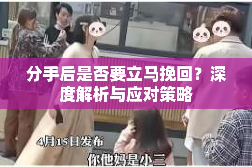 分手后是否要立马挽回？深度解析与应对策略