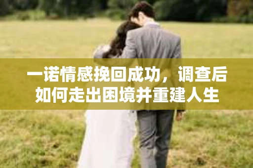 一诺情感挽回成功，调查后如何走出困境并重建人生